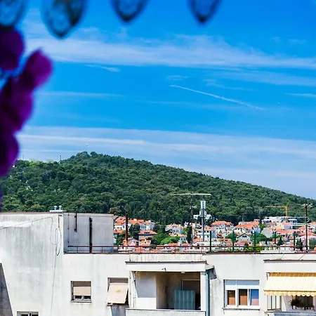 Apartment Agava With Terrace Near Old Town Split